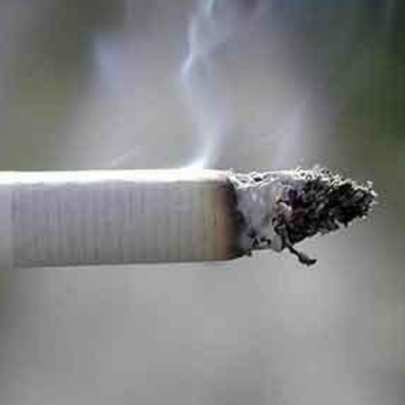 Meet your Posher, Tina - Picture 8 of 8